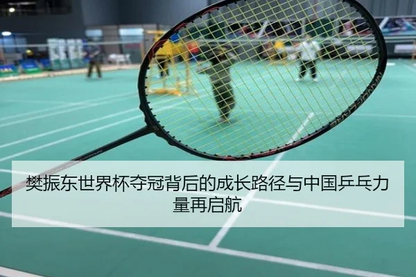 樊振东世界杯夺冠背后的成长路径与中国乒乓力量再启航